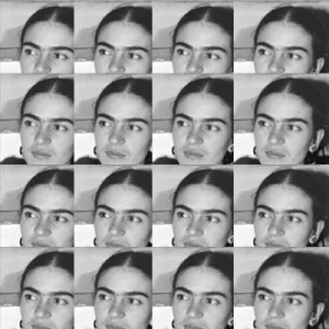 Černá Frida – 16 knih