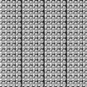 Černá Frida – 256 knih