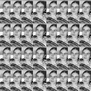 Černá Frida – 32 knih