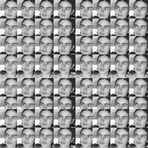 Černá Frida – 64 knih