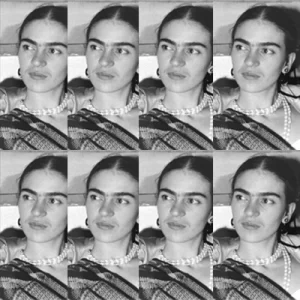 Černá Frida – 8 knih